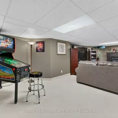 786, Exceller, Stonehaven-Wyndham, Newmarket