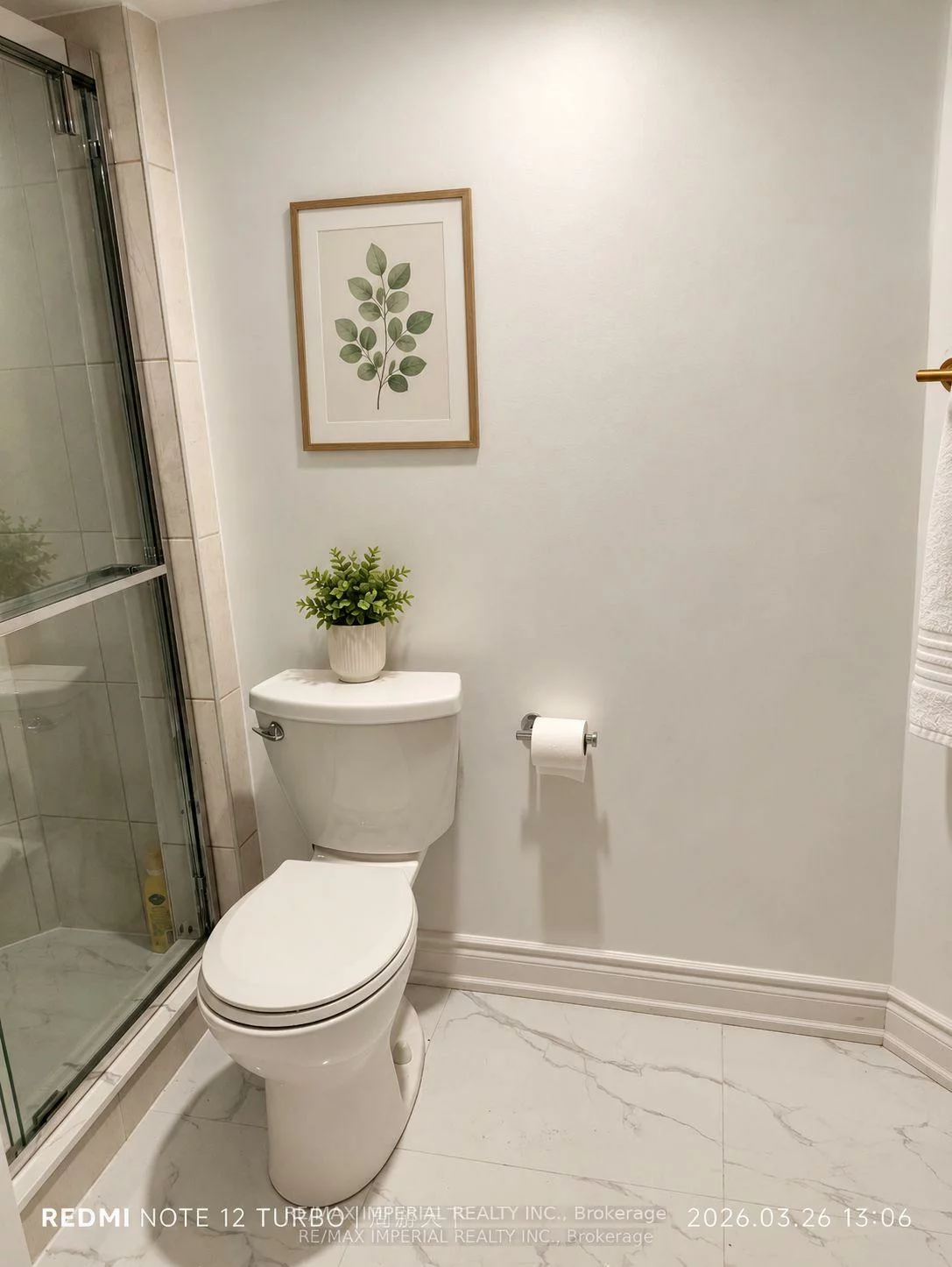 493, Blackstock, Gorham-College Manor, Newmarket