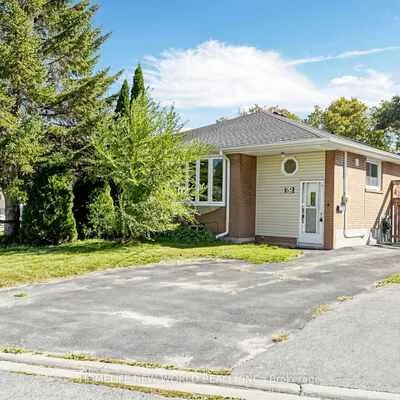 65, Walter, Bristol-London, Newmarket