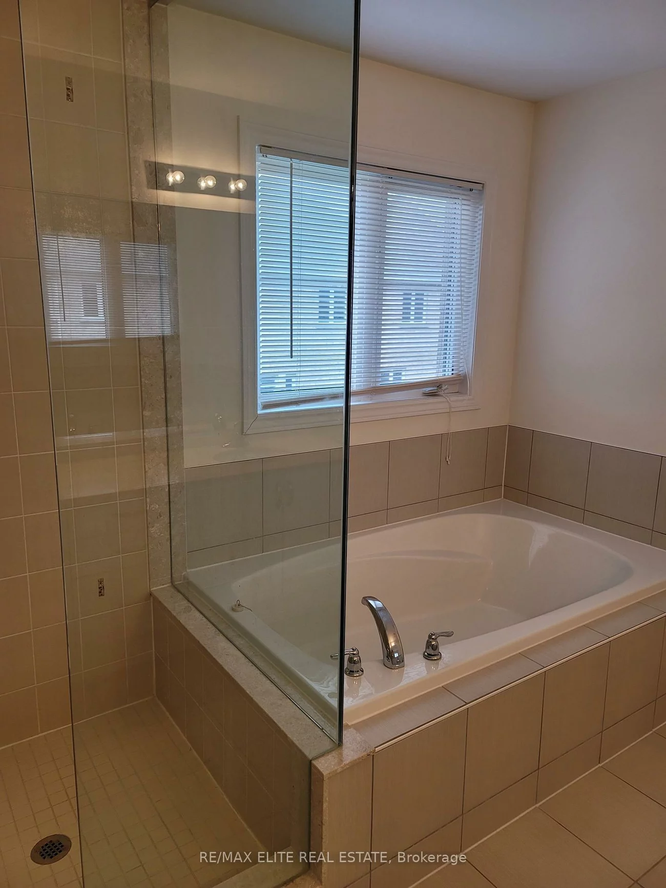 959, Ernest Cousins, Stonehaven-Wyndham, Newmarket