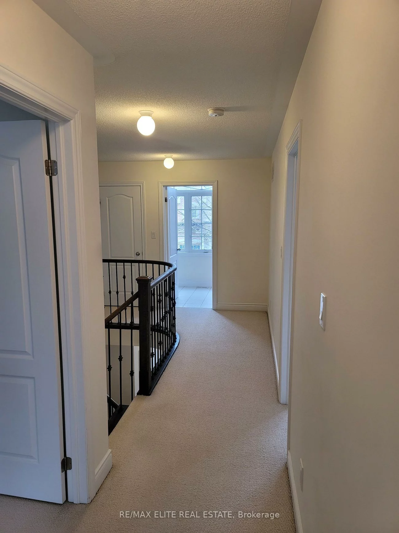 959, Ernest Cousins, Stonehaven-Wyndham, Newmarket