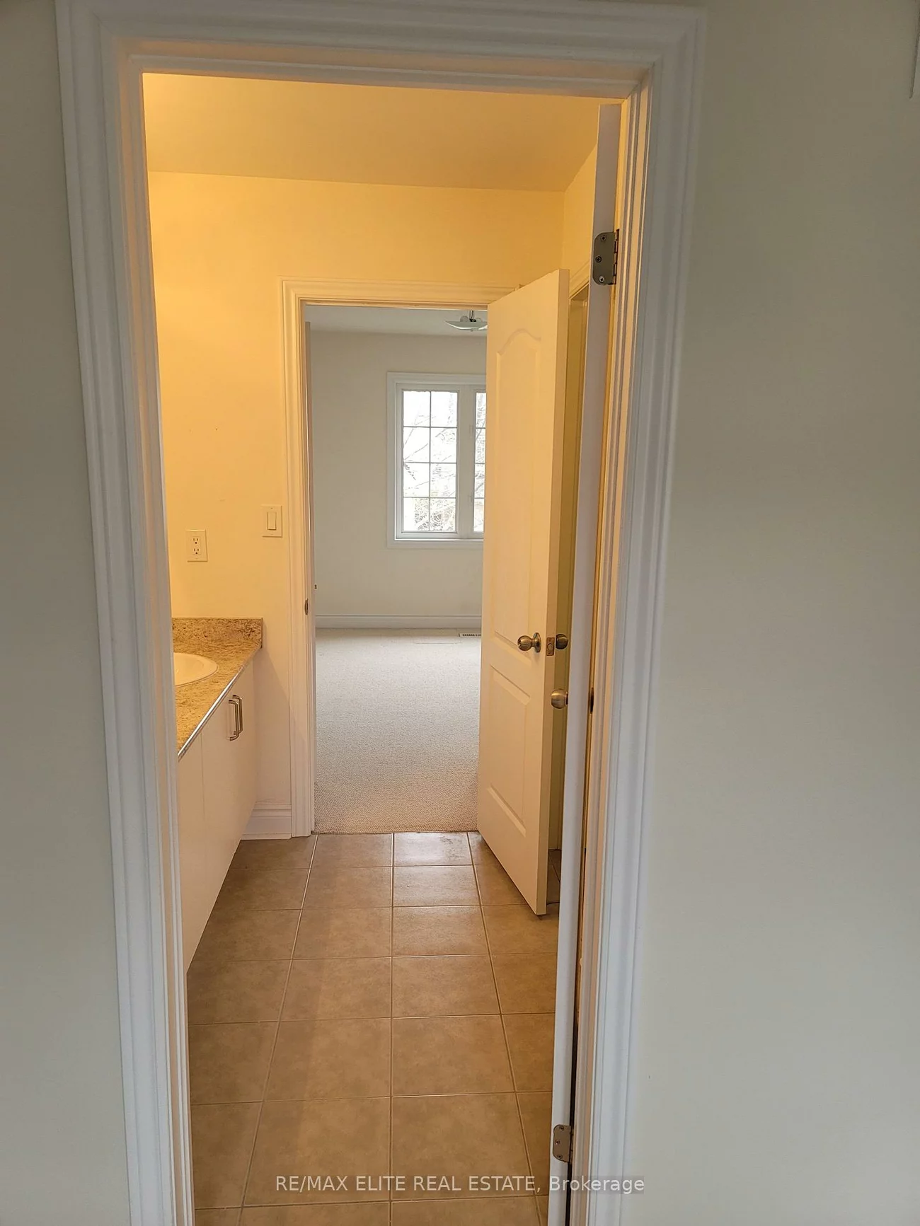 959, Ernest Cousins, Stonehaven-Wyndham, Newmarket