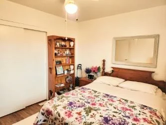 138, Longford, Bristol-London, Newmarket