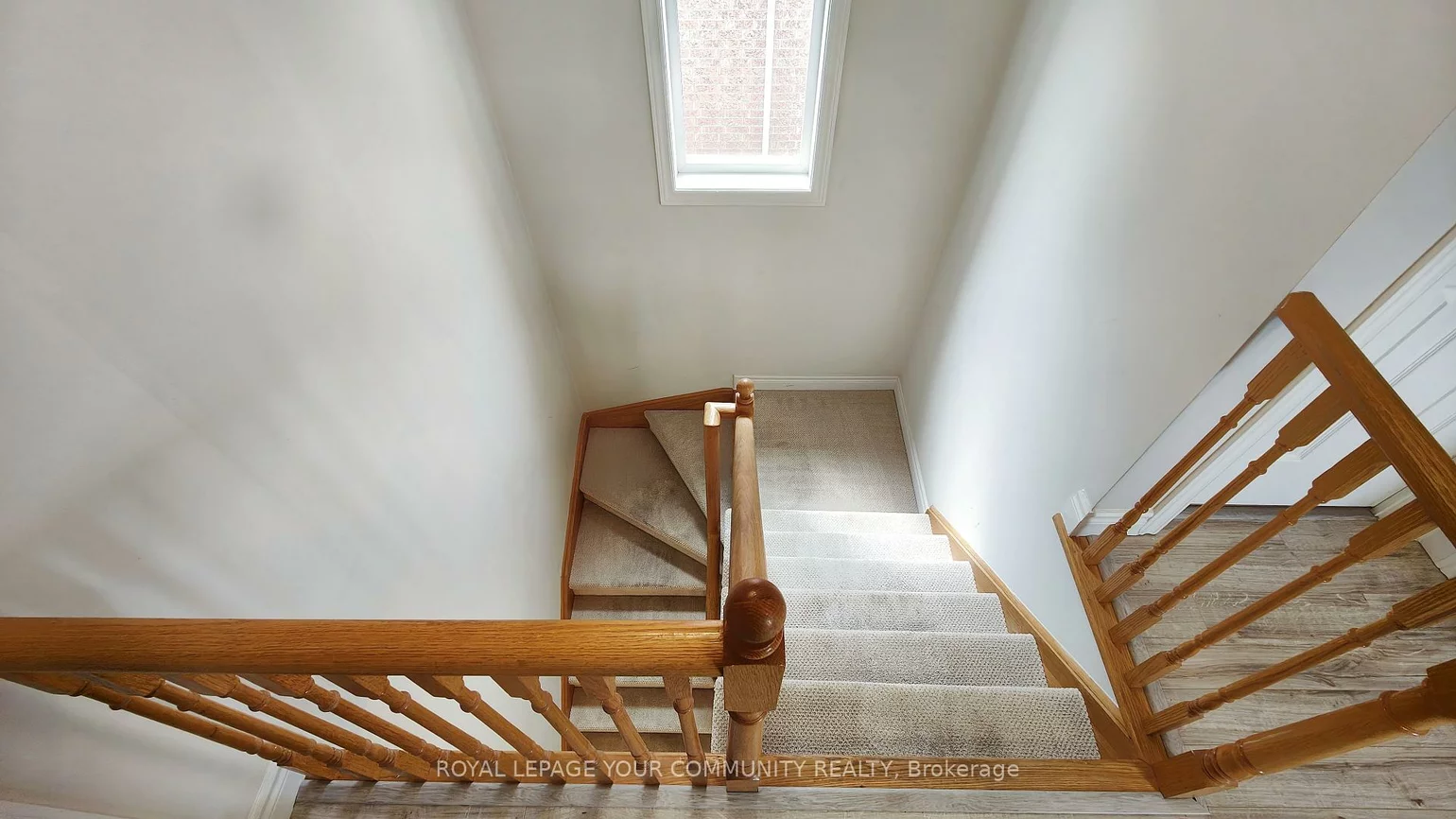 550, Greig, Gorham-College Manor, Newmarket