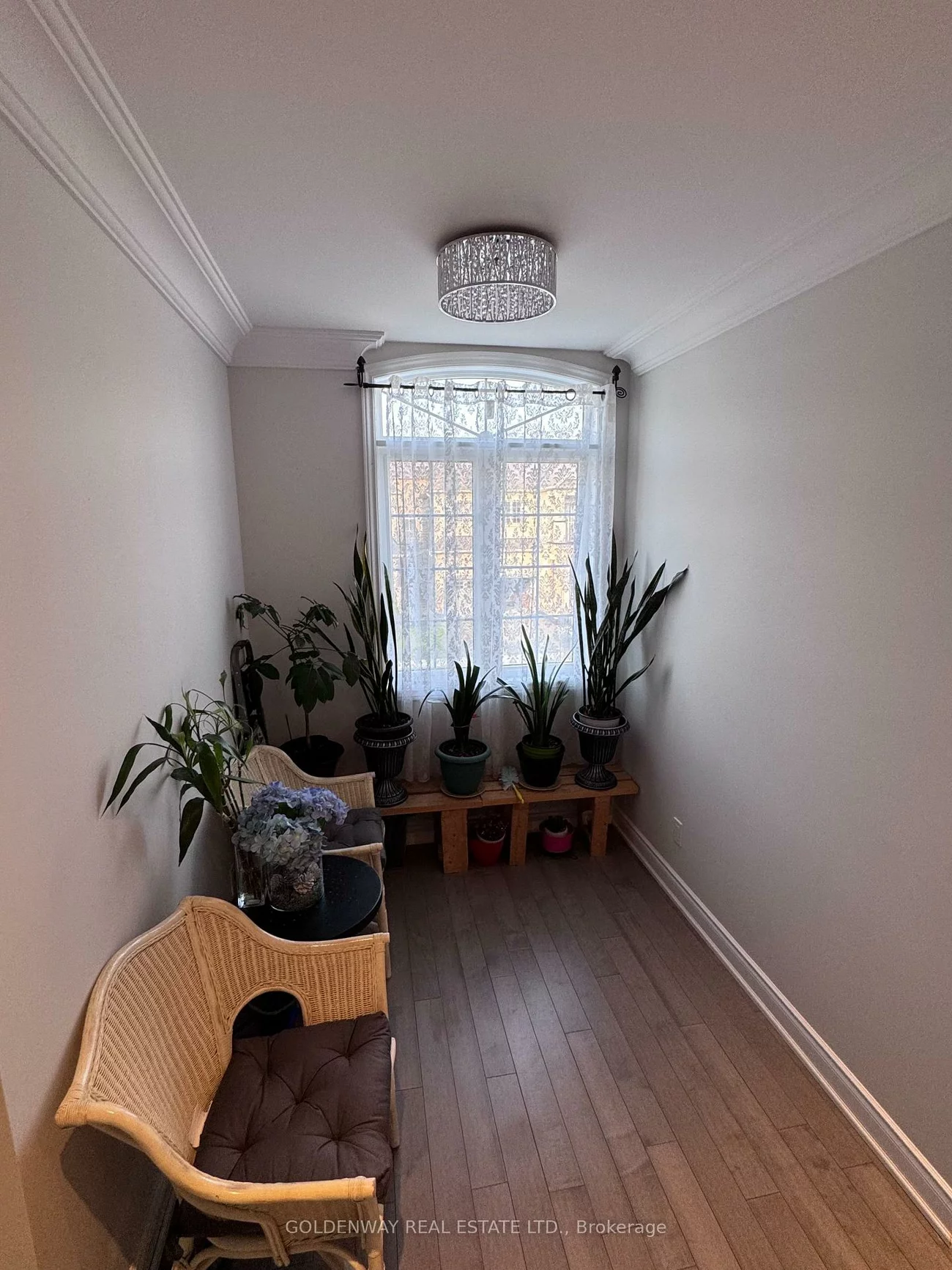 922, Ernest Cousins, Stonehaven-Wyndham, Newmarket