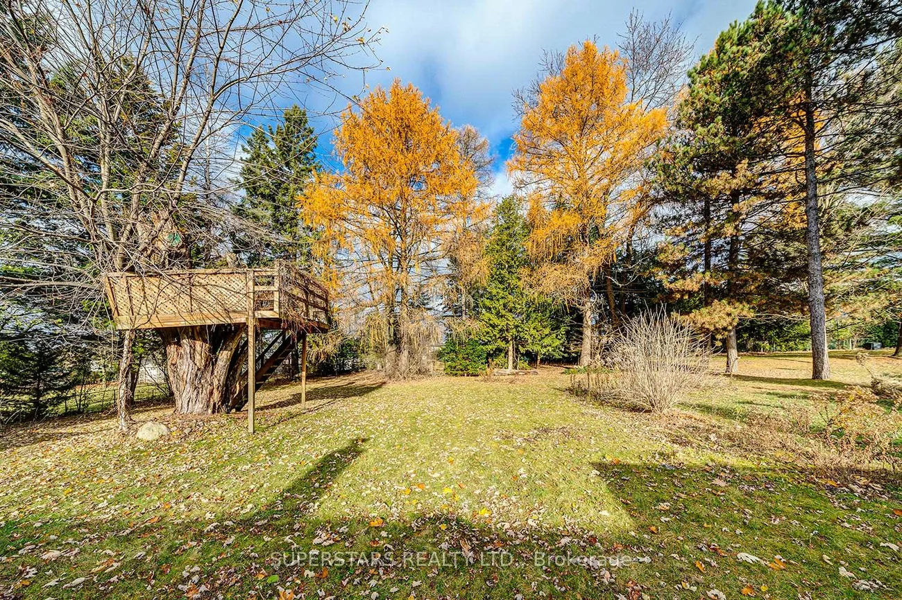 977, Srigley, Gorham-College Manor, Newmarket