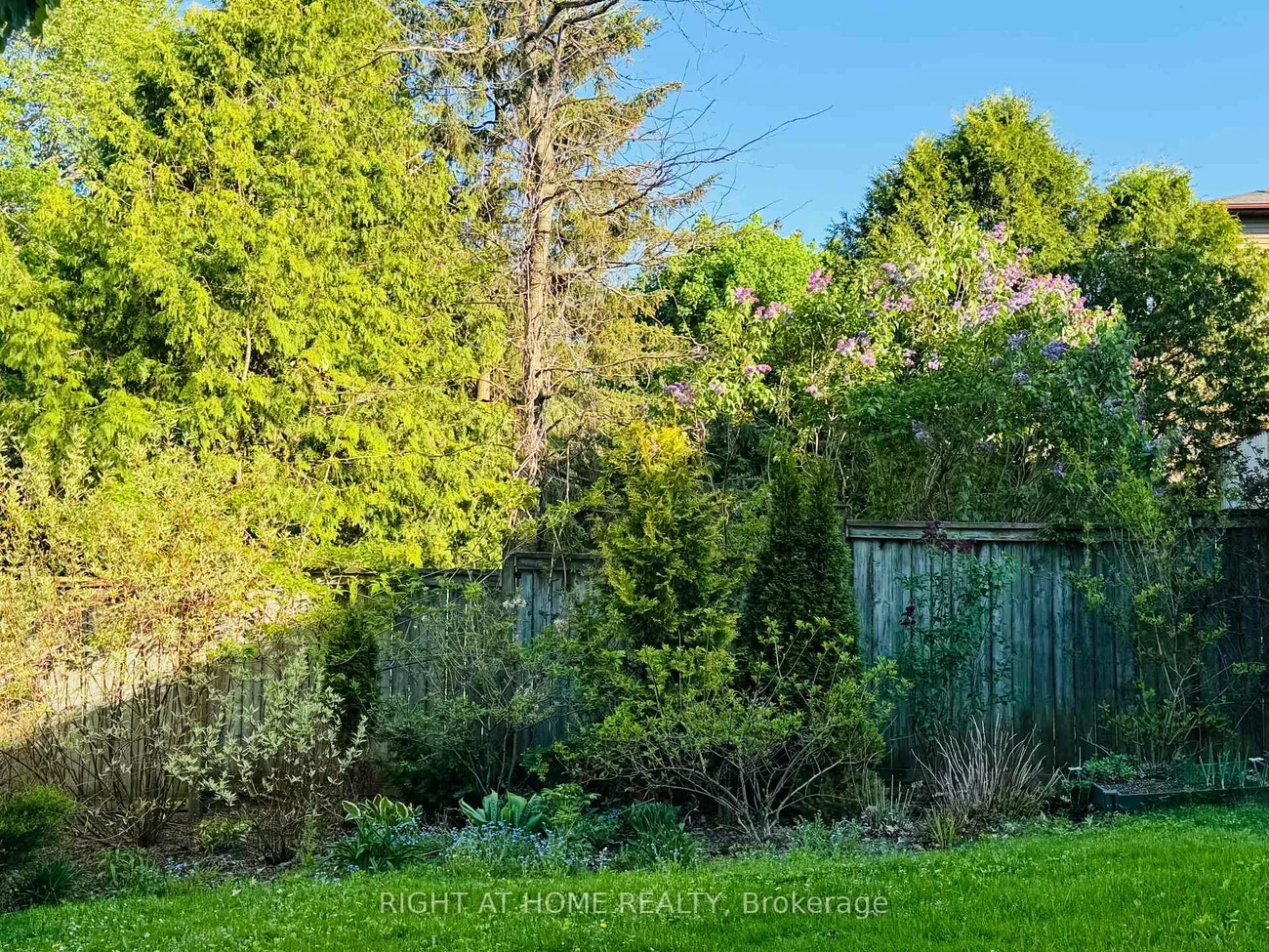 354, Bexhill, Bristol-London, Newmarket