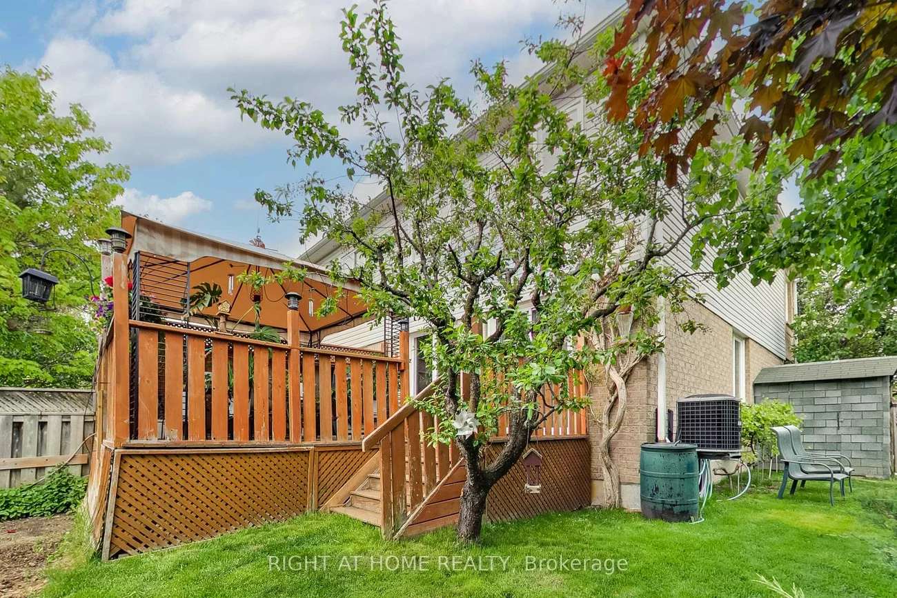 28, Foxtail, Armitage, Newmarket
