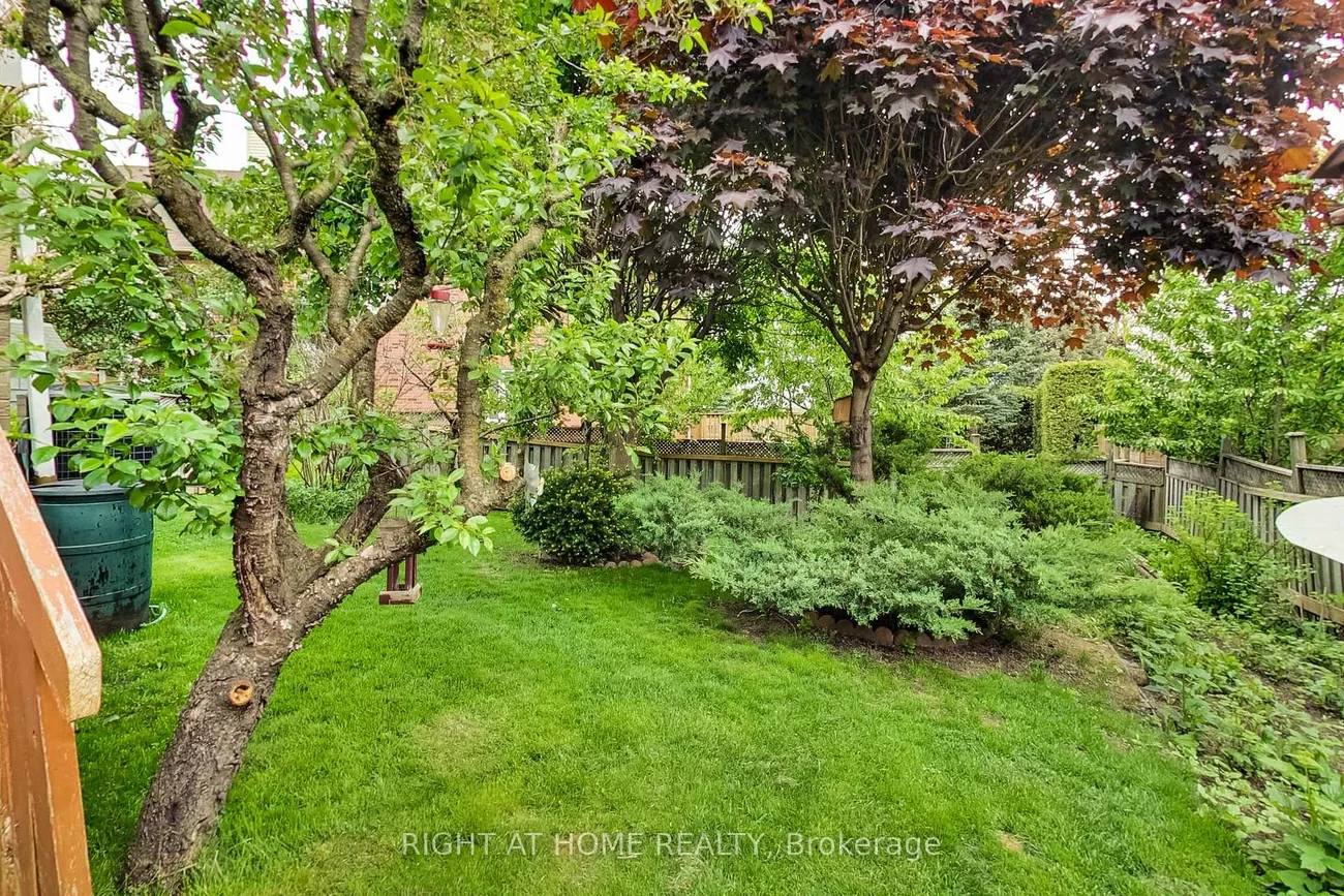 28, Foxtail, Armitage, Newmarket