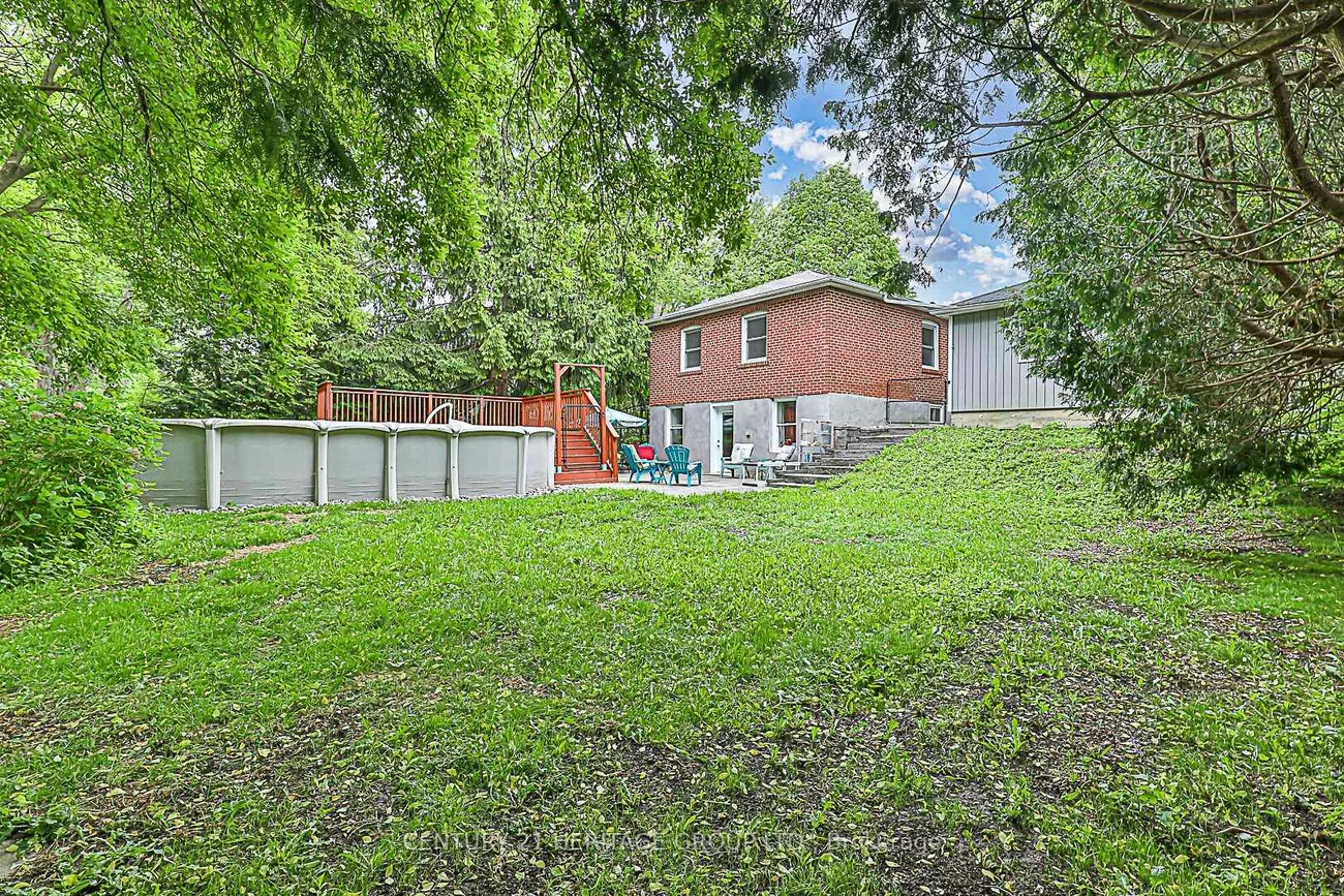 893, Srigley, Gorham-College Manor, Newmarket