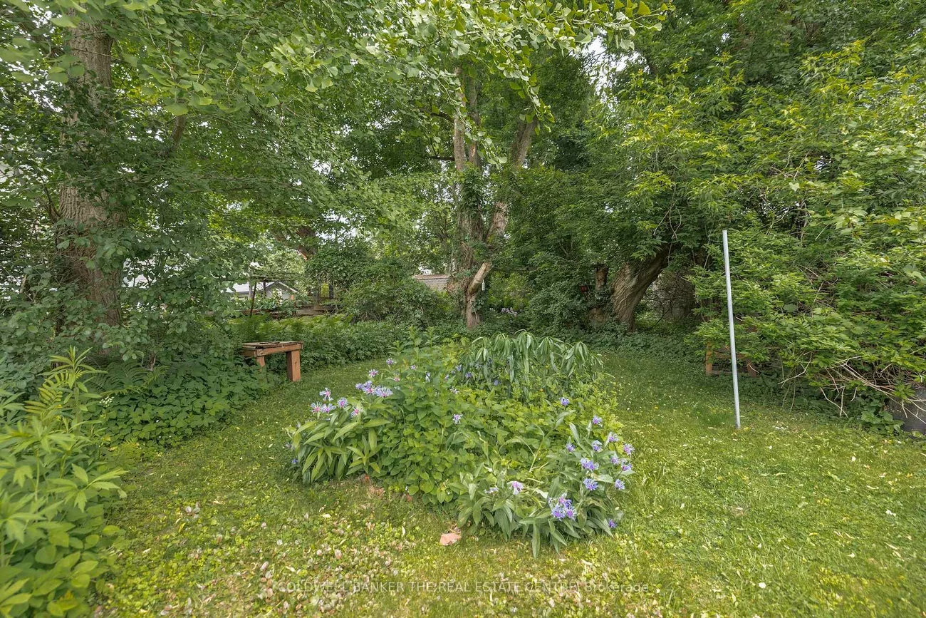 410, Eagle, Central Newmarket, Newmarket