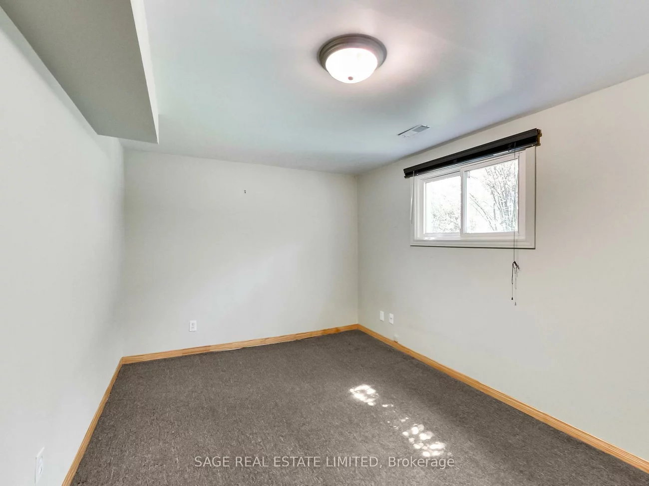 244, Currey, Central Newmarket, Newmarket