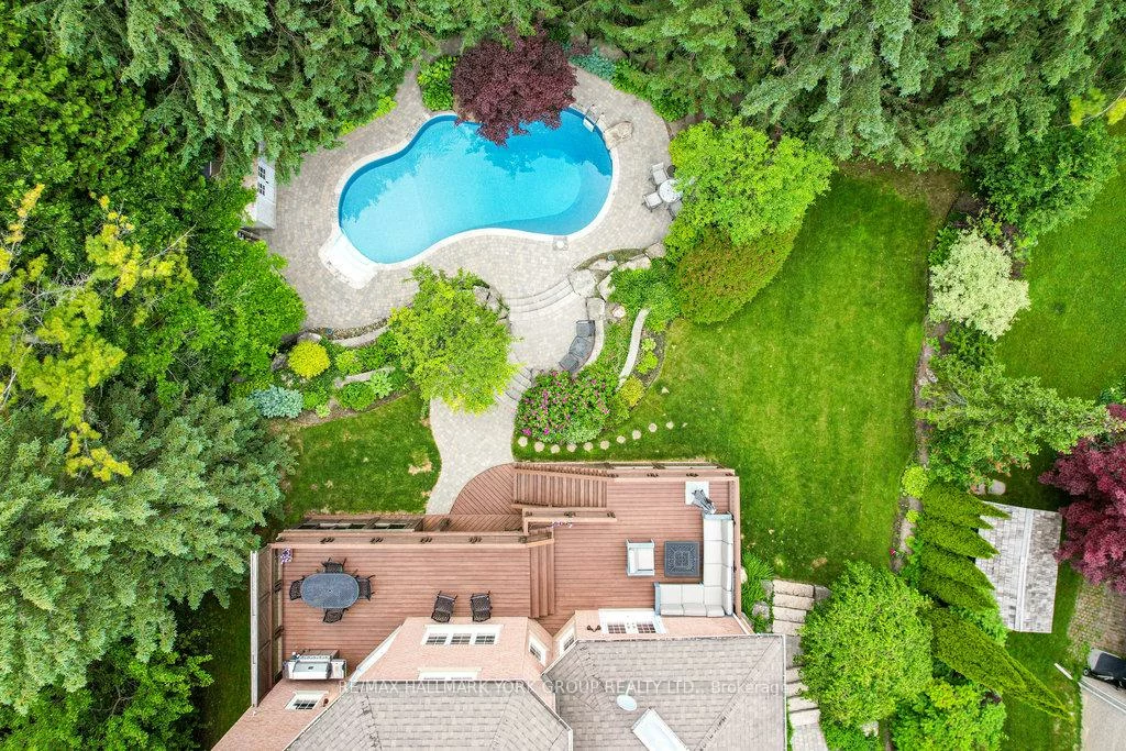 1032, Sir Ivor, Stonehaven-Wyndham, Newmarket