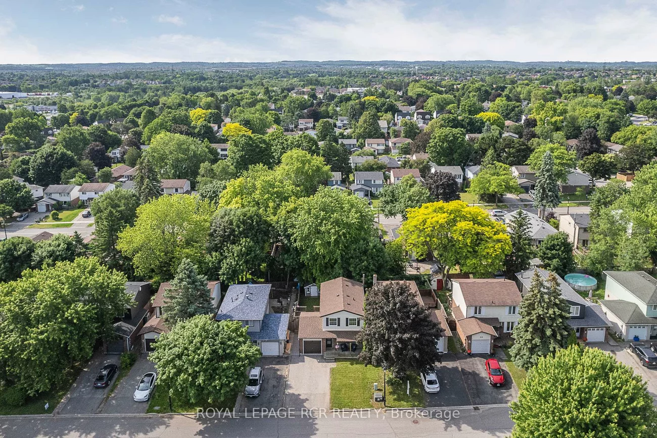 219, Thoms, Central Newmarket, Newmarket