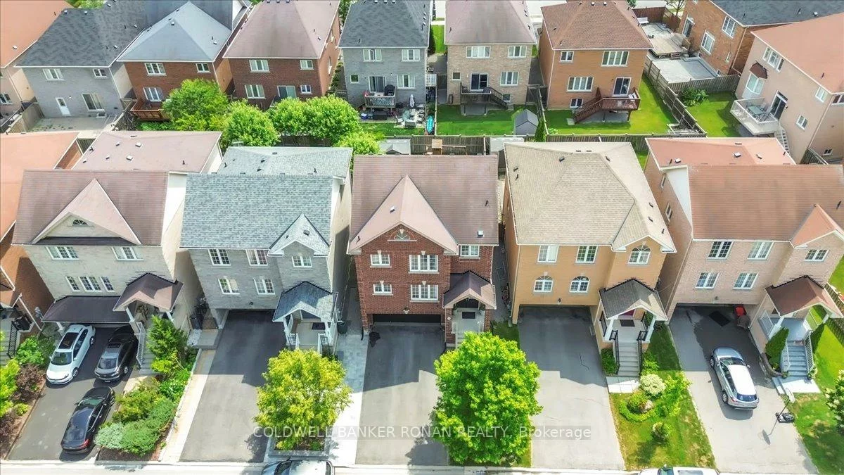225, Karl Rose, Woodland Hill, Newmarket