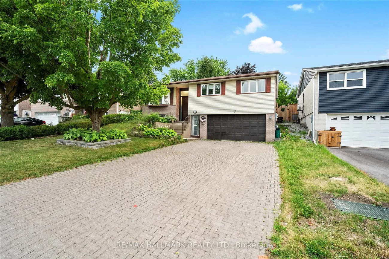 372, Dixon, Central Newmarket, Newmarket