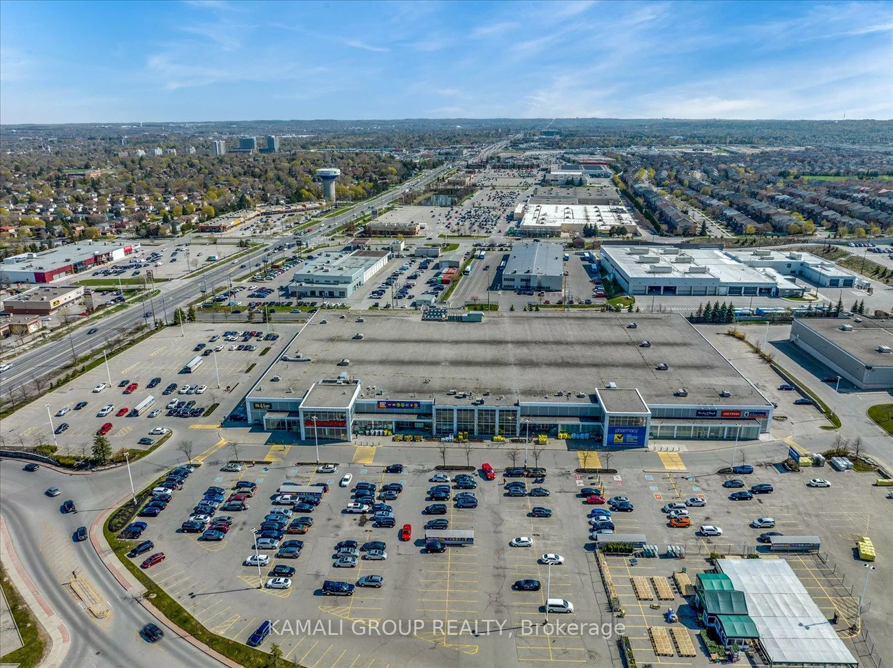 83, Walter, Bristol-London, Newmarket
