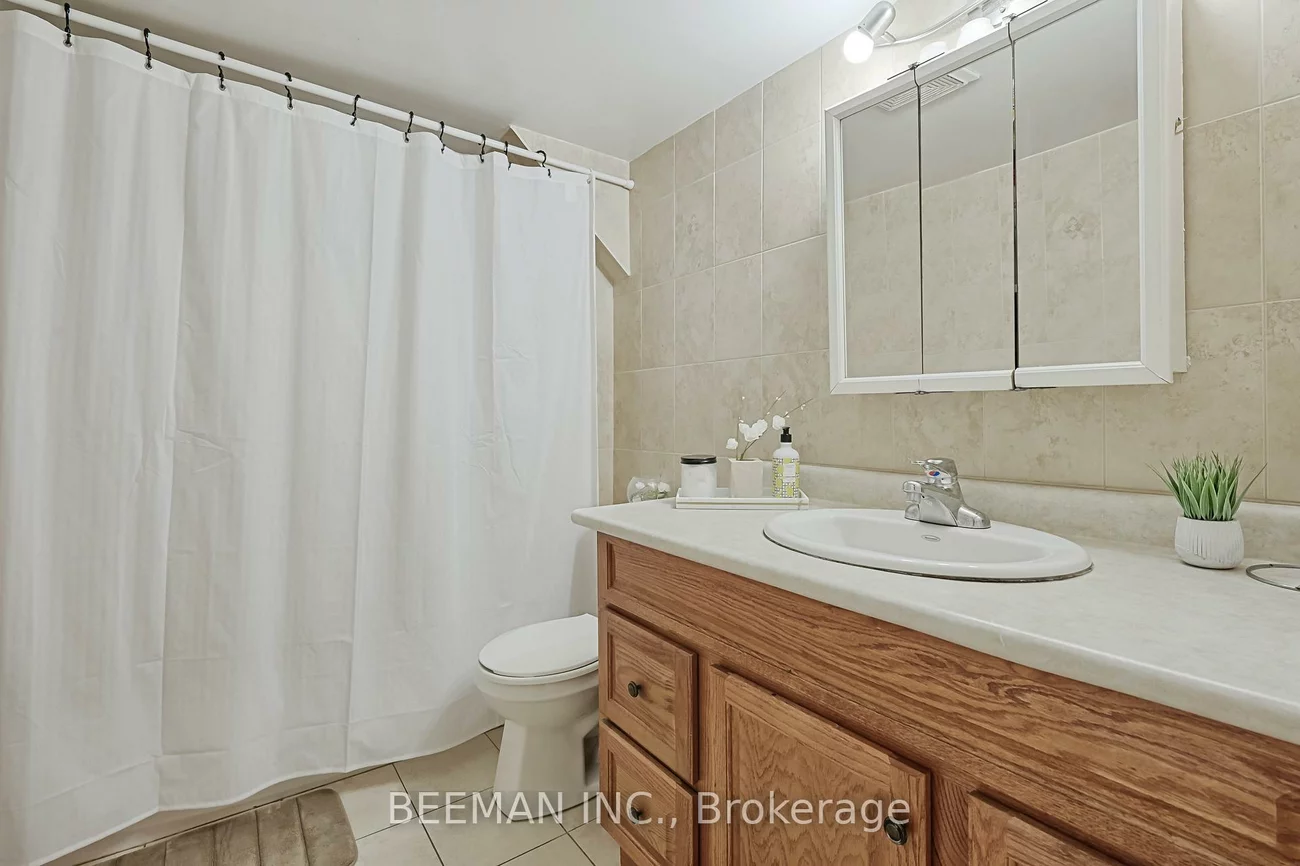 277, Silverbirch, Bristol-London, Newmarket