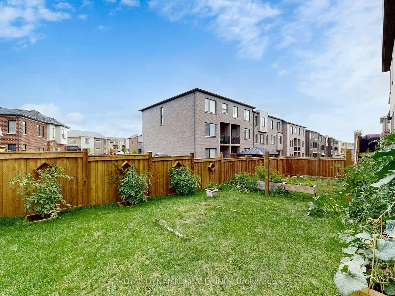 59, Tango, Woodland Hill, Newmarket