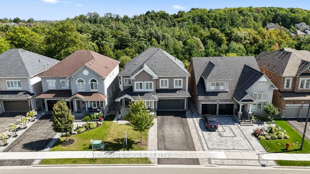 545, Clifford Perry, Woodland Hill, Newmarket