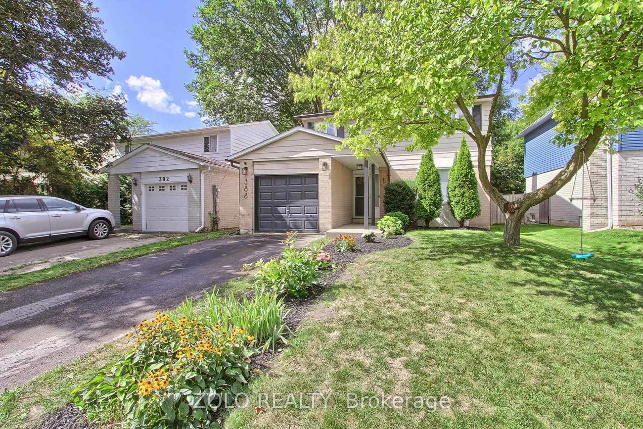 388, Terry, Central Newmarket, Newmarket