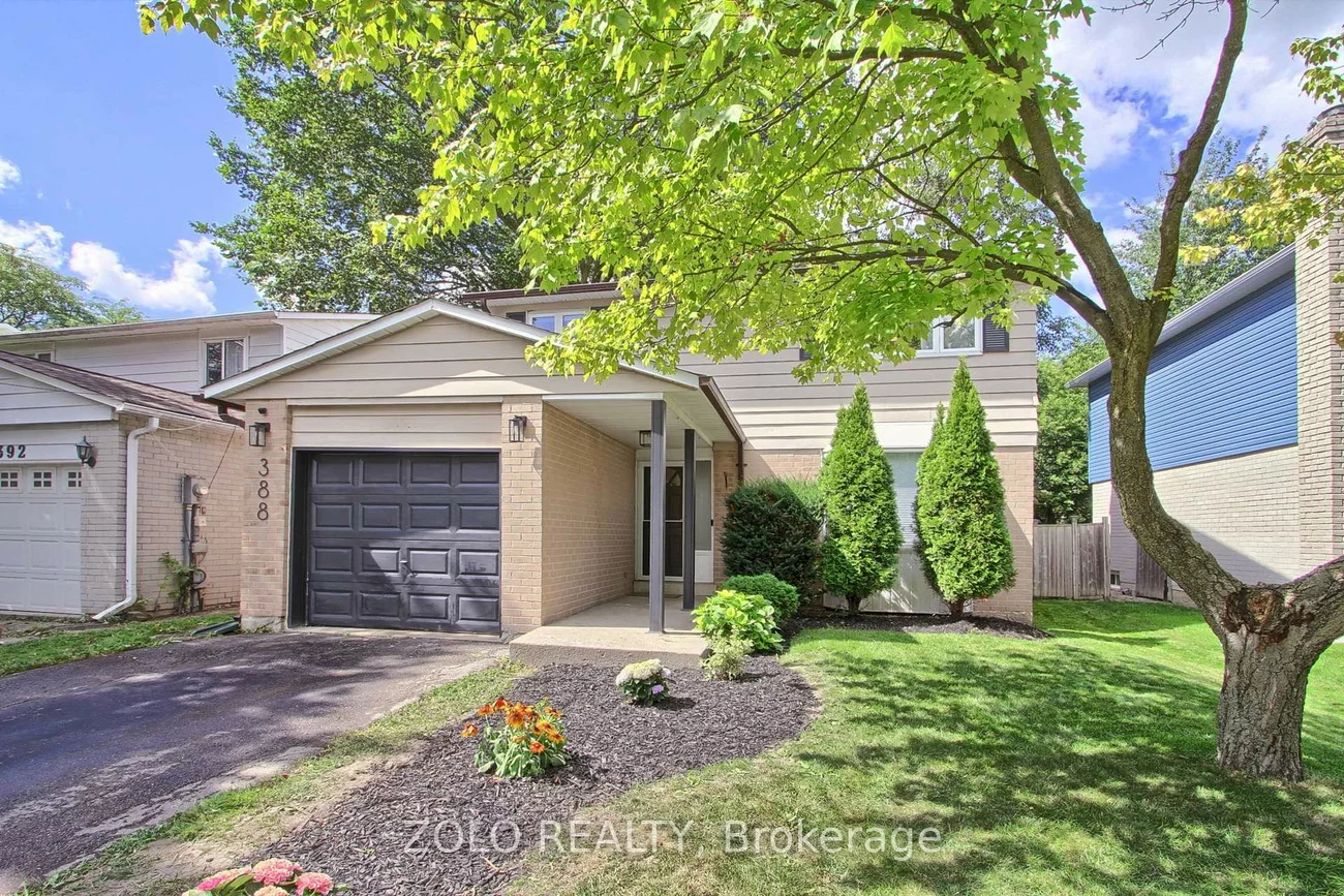 388, Terry, Central Newmarket, Newmarket