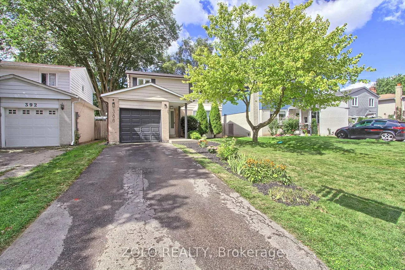 388, Terry, Central Newmarket, Newmarket