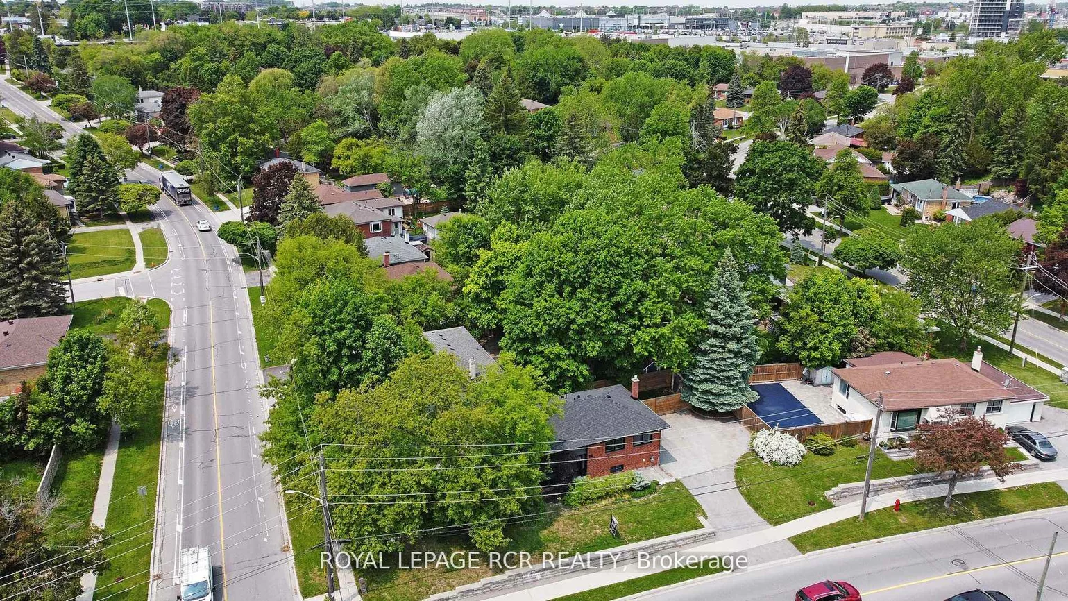 93, Queen, Central Newmarket, Newmarket