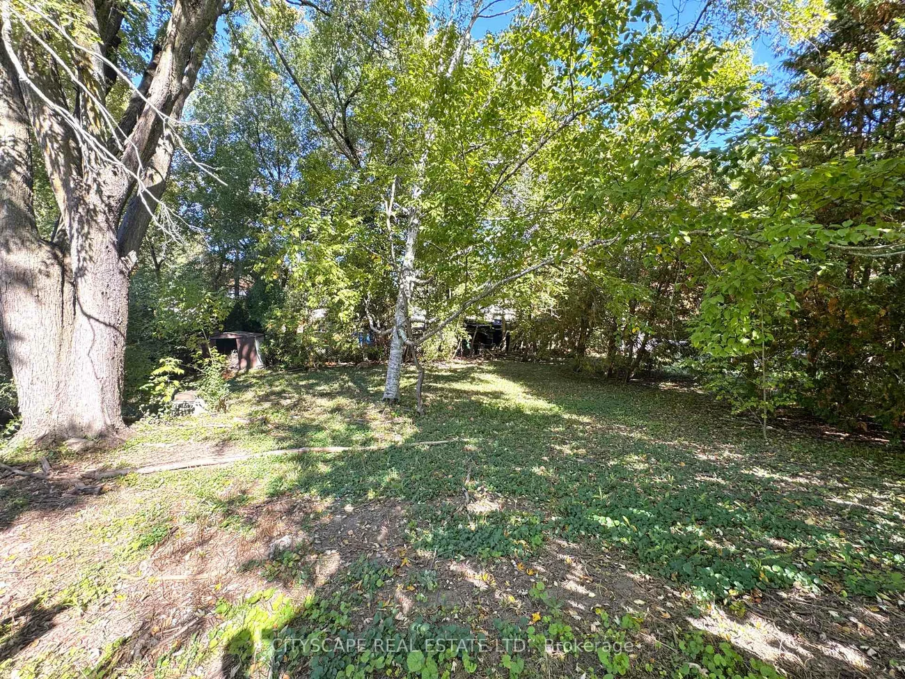 353B, Ontario, Central Newmarket, Newmarket