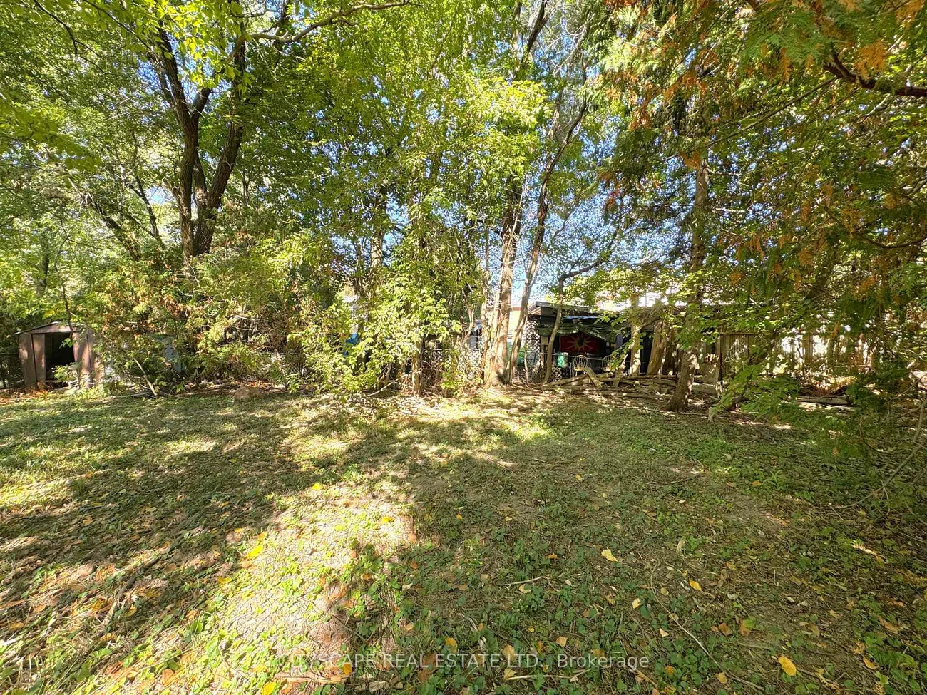 353B, Ontario, Central Newmarket, Newmarket