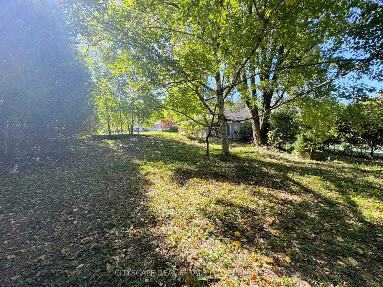 353B, Ontario, Central Newmarket, Newmarket