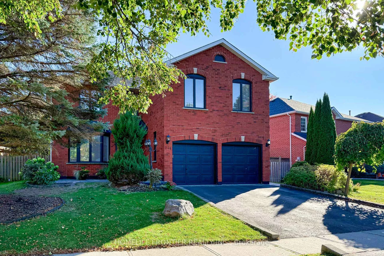246, Jelley, Armitage, Newmarket