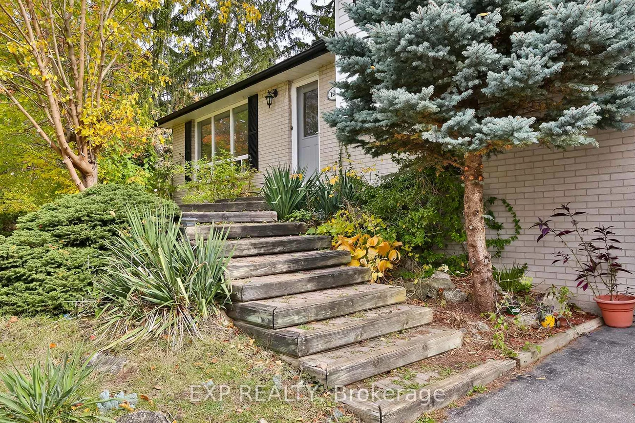 165, Carlson, Gorham-College Manor, Newmarket