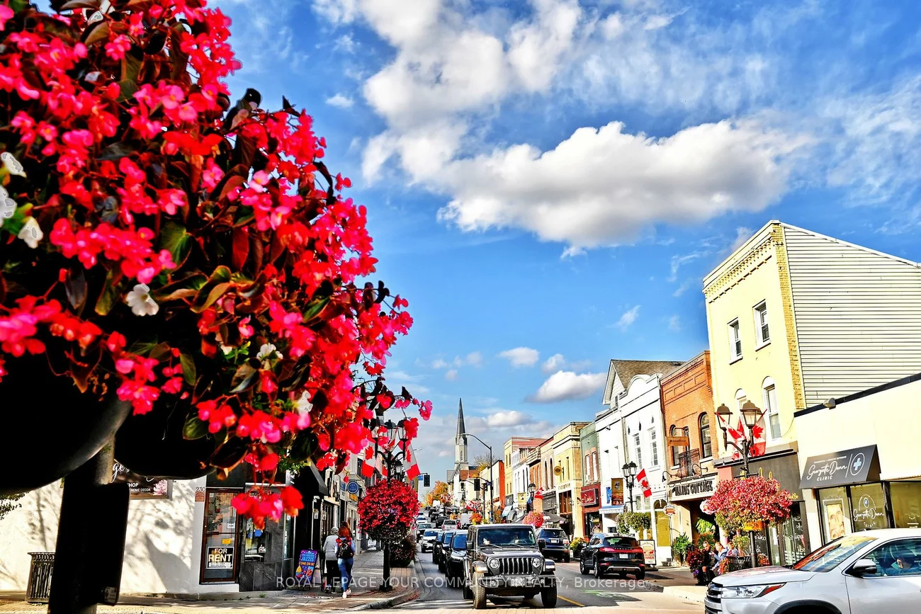 448, Timothy, Central Newmarket, Newmarket