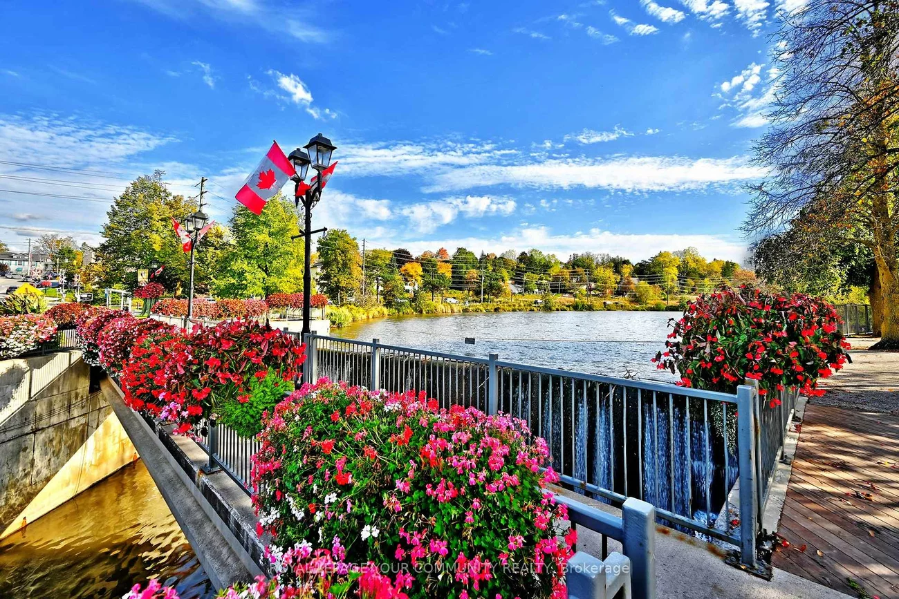 448, Timothy, Central Newmarket, Newmarket