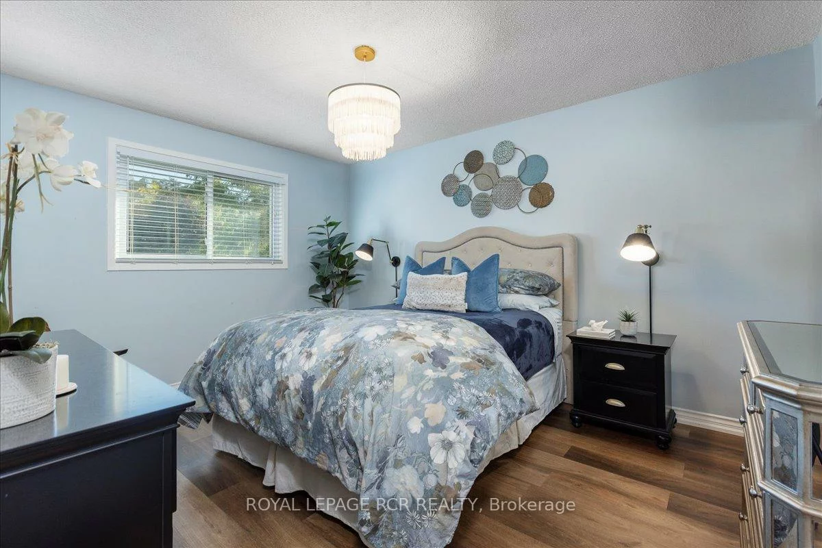 448, Dover, Bristol-London, Newmarket