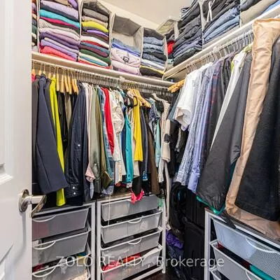 235, Appleton, Central Newmarket, Newmarket