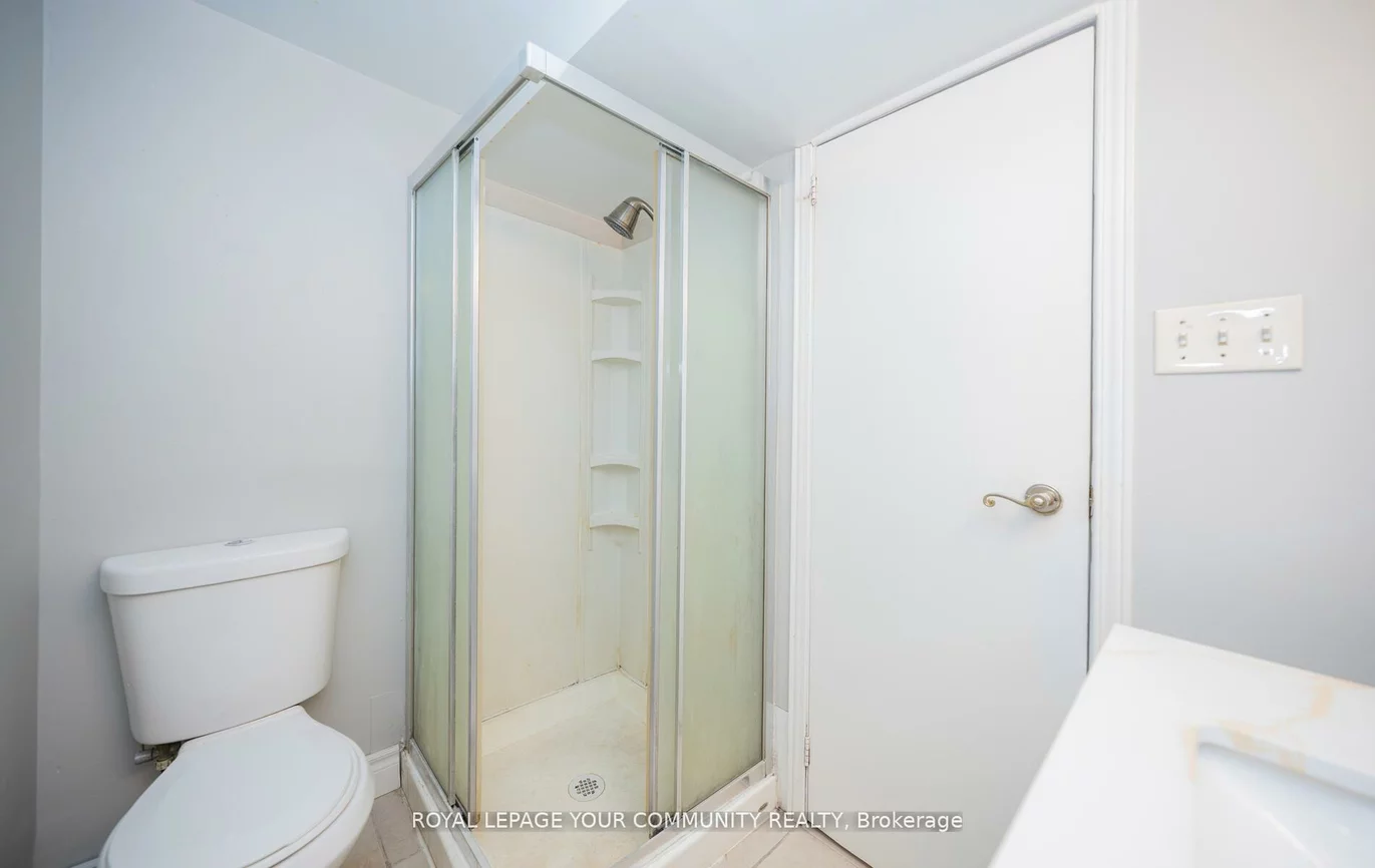 53, Newbury, Bristol-London, Newmarket