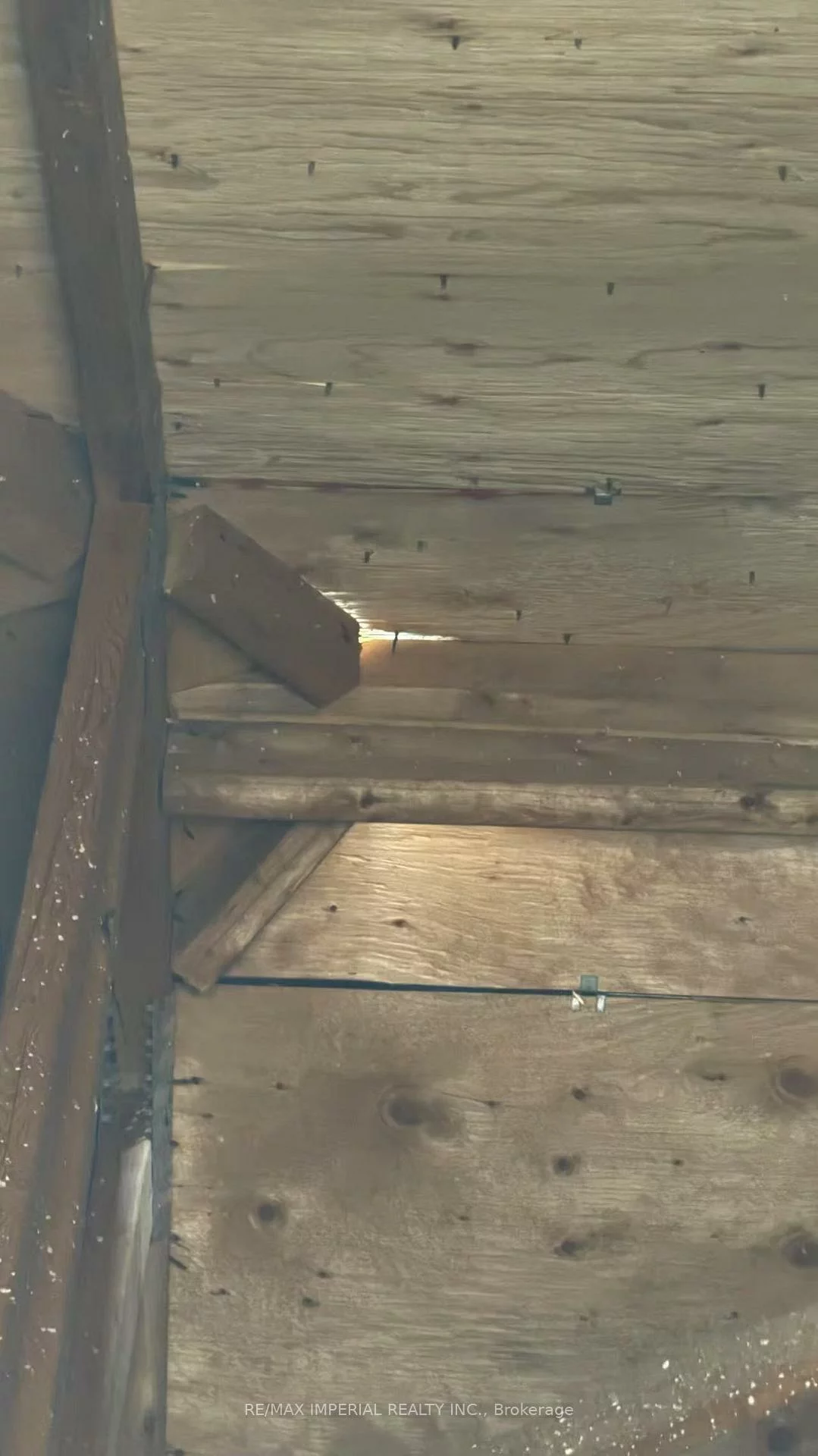 982, Wilbur Pipher, Stonehaven-Wyndham, Newmarket