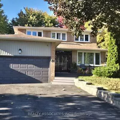 81, Derby, Bristol-London, Newmarket