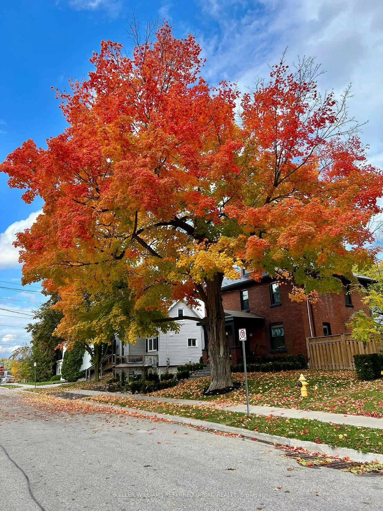 93, Concession, Central Newmarket, Newmarket