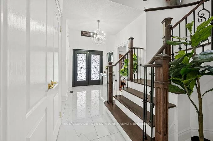 785, Quantra, Stonehaven-Wyndham, Newmarket