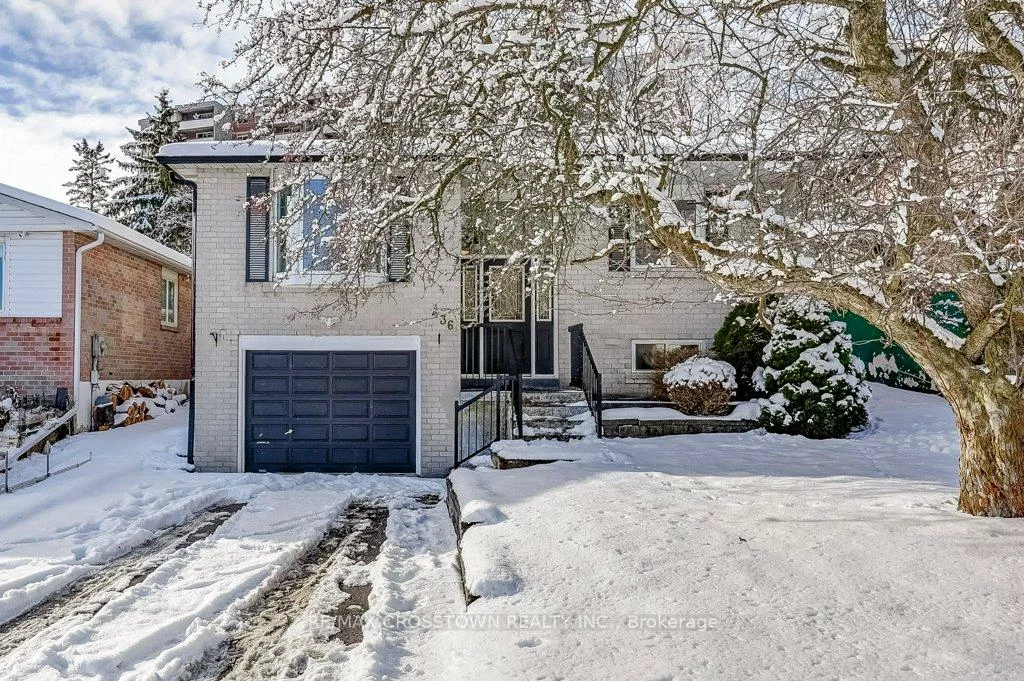 436, Dixon, Central Newmarket, Newmarket