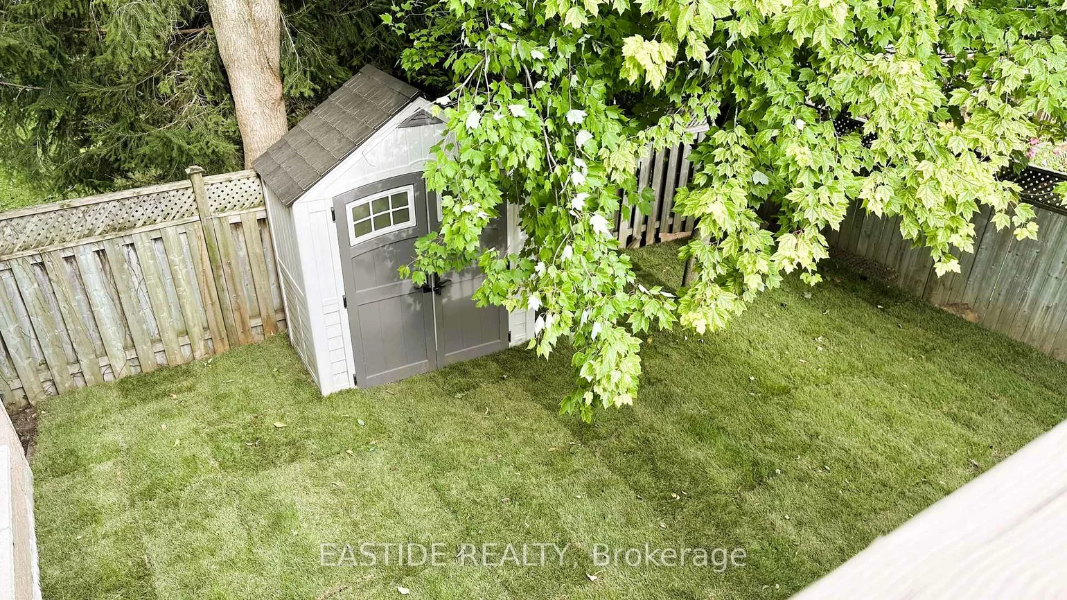 570, Roeder, Gorham-College Manor, Newmarket