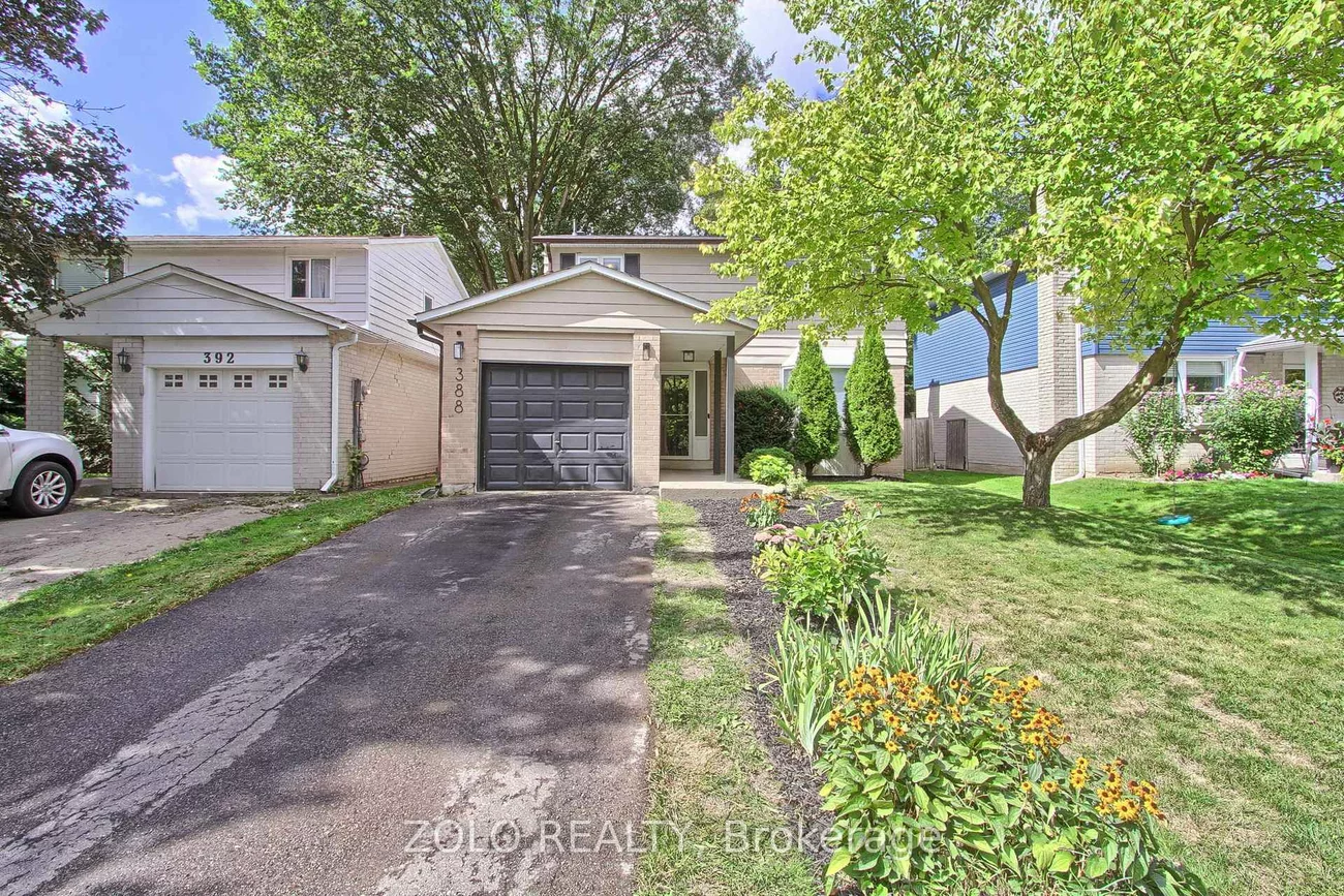 388, Terry, Central Newmarket, Newmarket