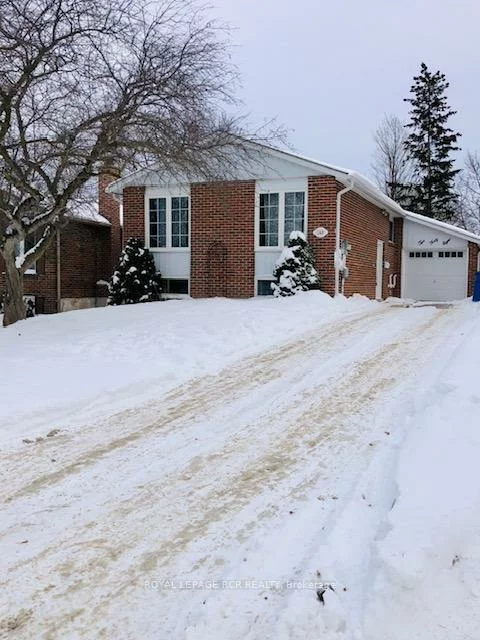 248, Talbot, Central Newmarket, Newmarket