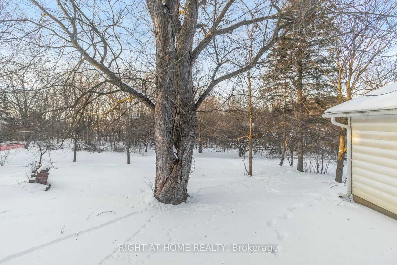 735, Srigley, Gorham-College Manor, Newmarket