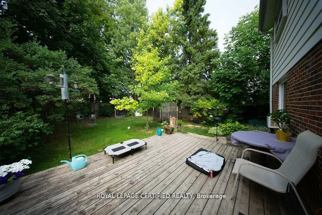 386, Handley, Central Newmarket, Newmarket