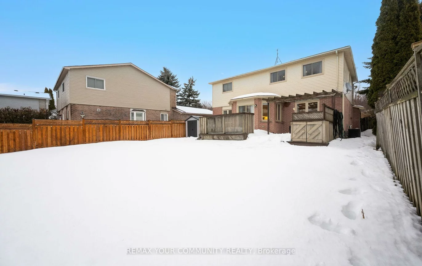 382, Vanden Bergh, Bristol-London, Newmarket