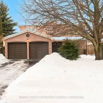 382, Vanden Bergh, Bristol-London, Newmarket